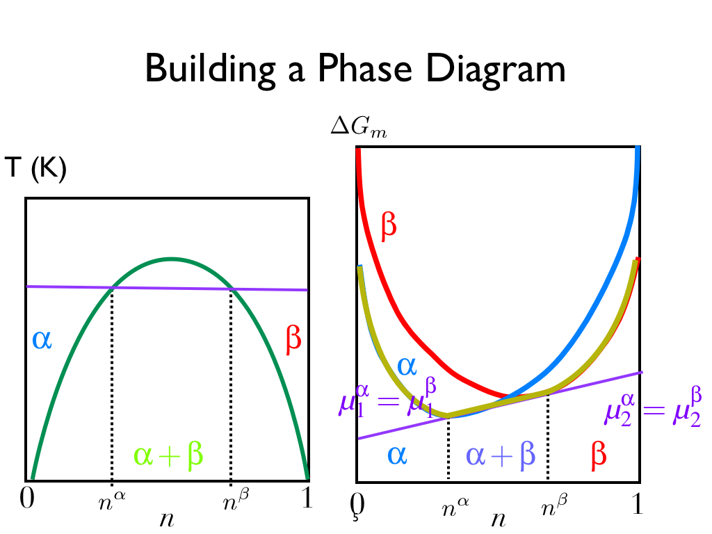 Building a Phase Diagram