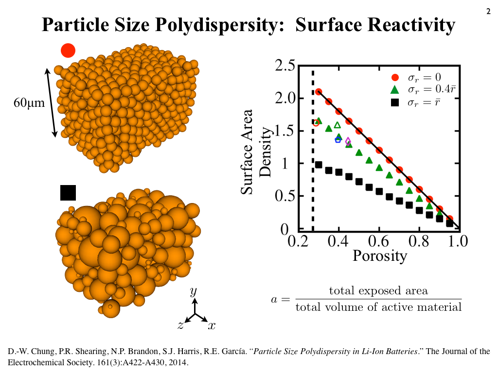 Particle Size Polydispersity: Surface Reactivity