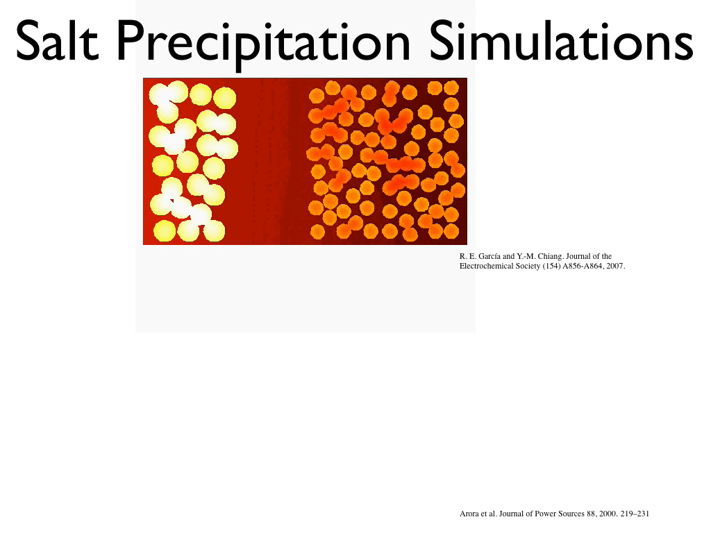 Salt Precipitation Simulations