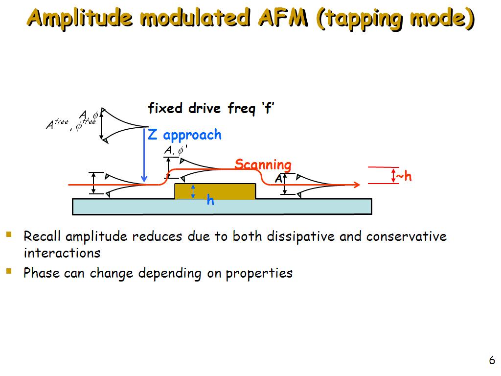 Amplitude modulated AFM (tapping mode)
