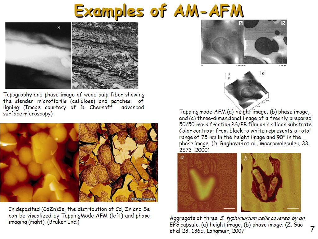 Examples of AM-AFM