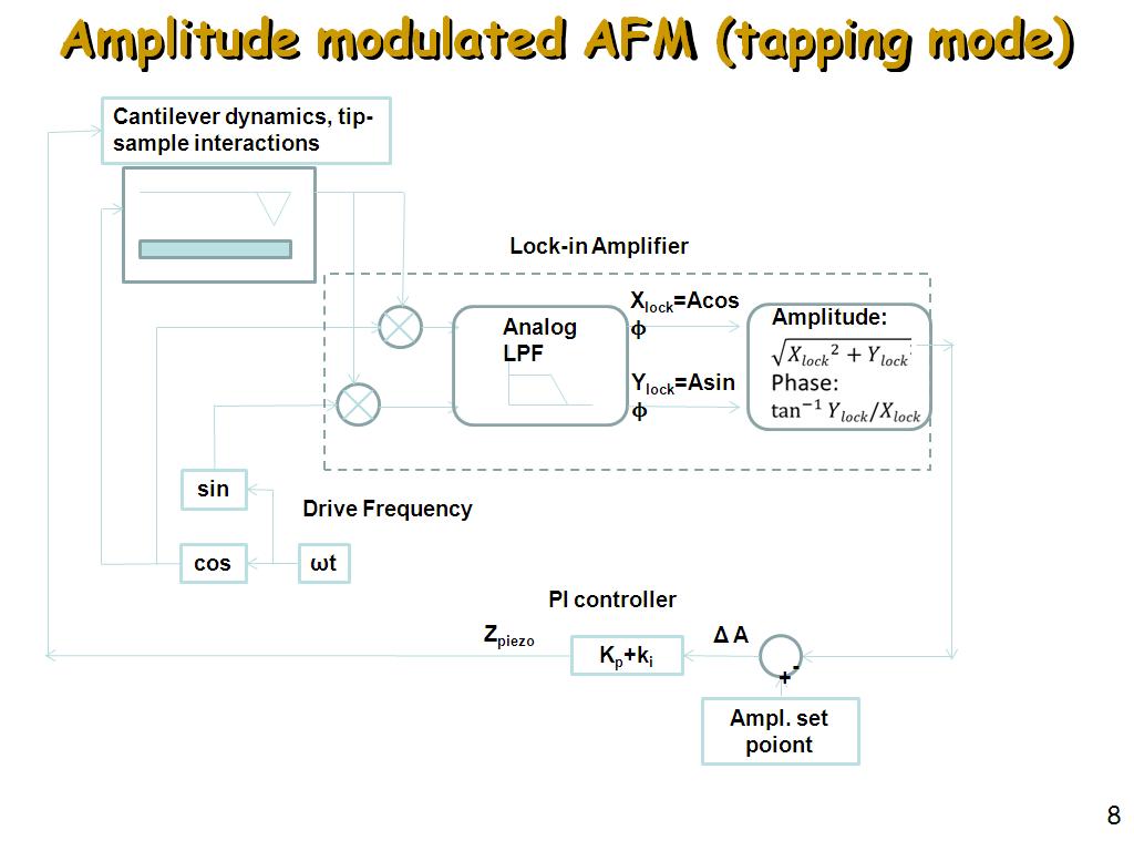 Amplitude modulated AFM (tapping mode)
