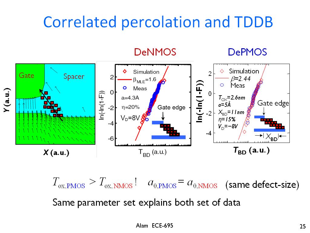 Correlated percolation and TDDB