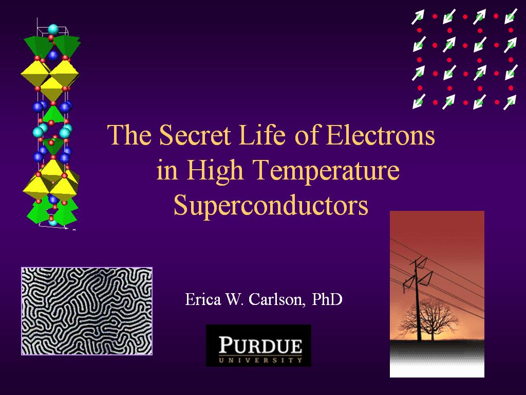 The Secret Life of Electrons in High Temperature Superconductors