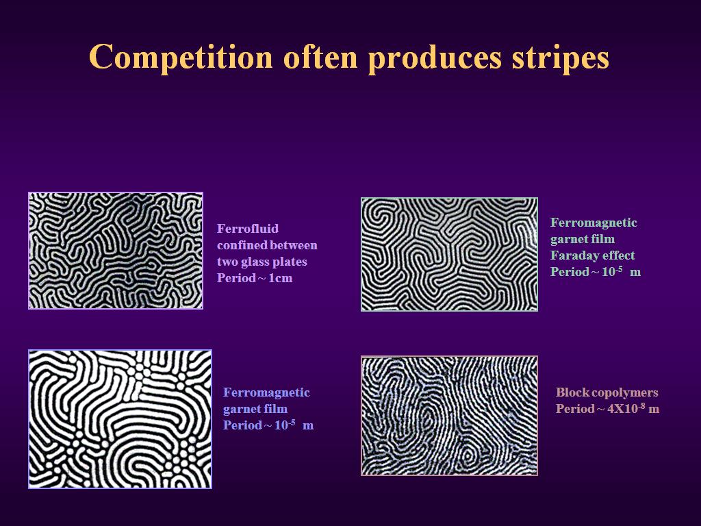 Competition often produces stripes