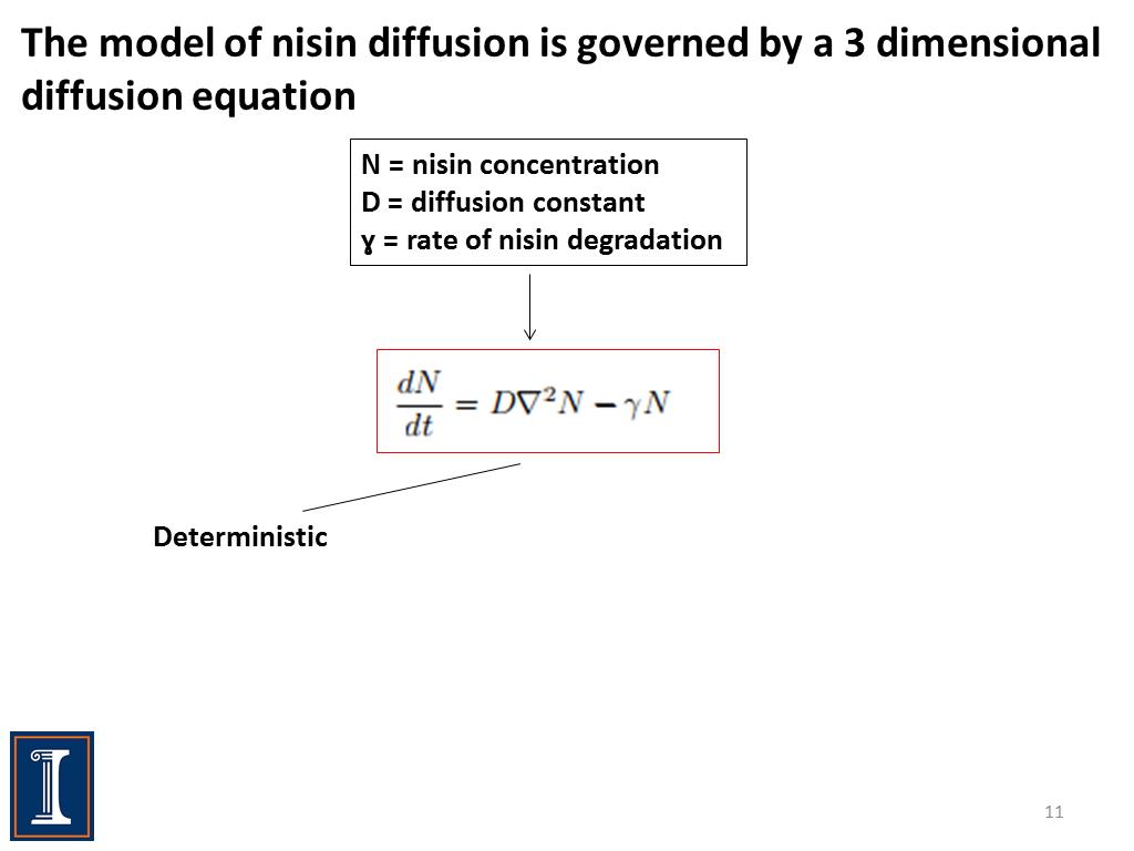 The model of nisin diffusion is governed by a 3 dimensional diffusion equation
