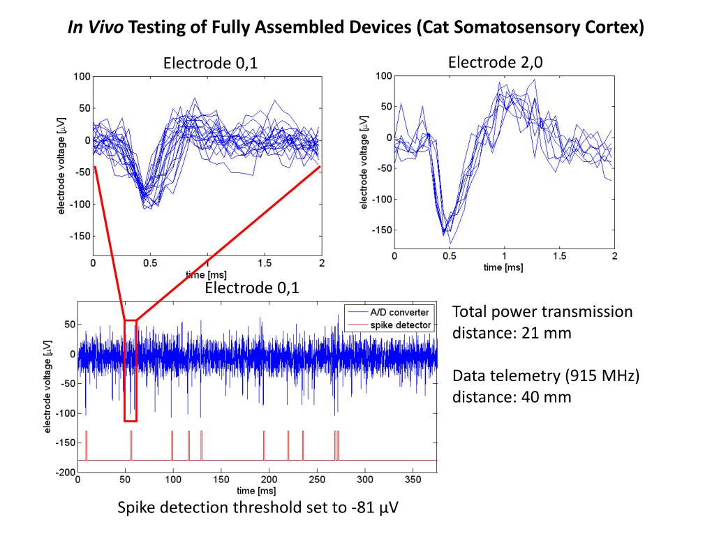 In Vivo Testing of Fully Assembled Devices (Cat Somatosensory Cortex)