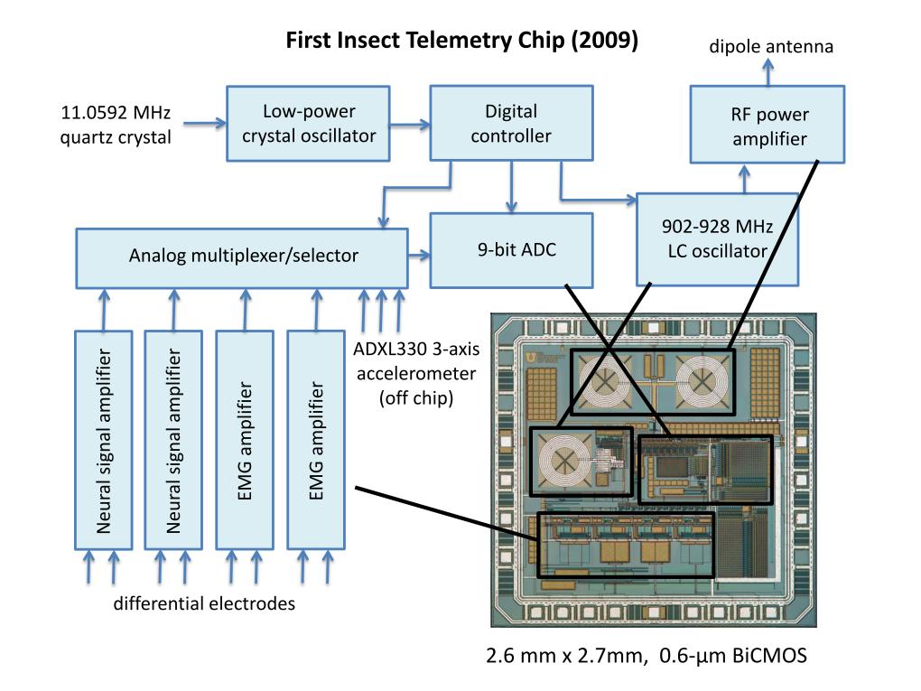 First Insect Telemetry Chip (2009)