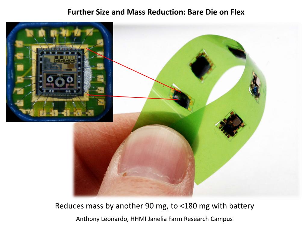 Further Size and Mass Reduction: Bare Die on Flex
