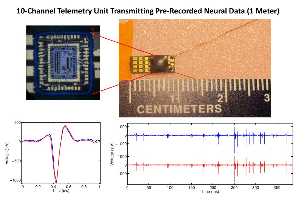 10-Channel Telemetry Unit Transmitting Pre-Recorded Neural Data (1 Meter)