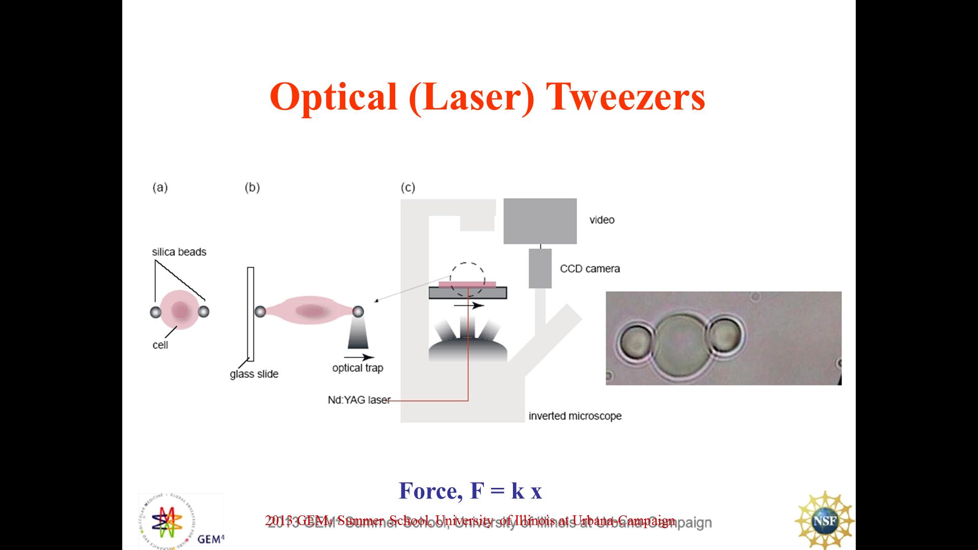 Optical (Laser) Tweezers