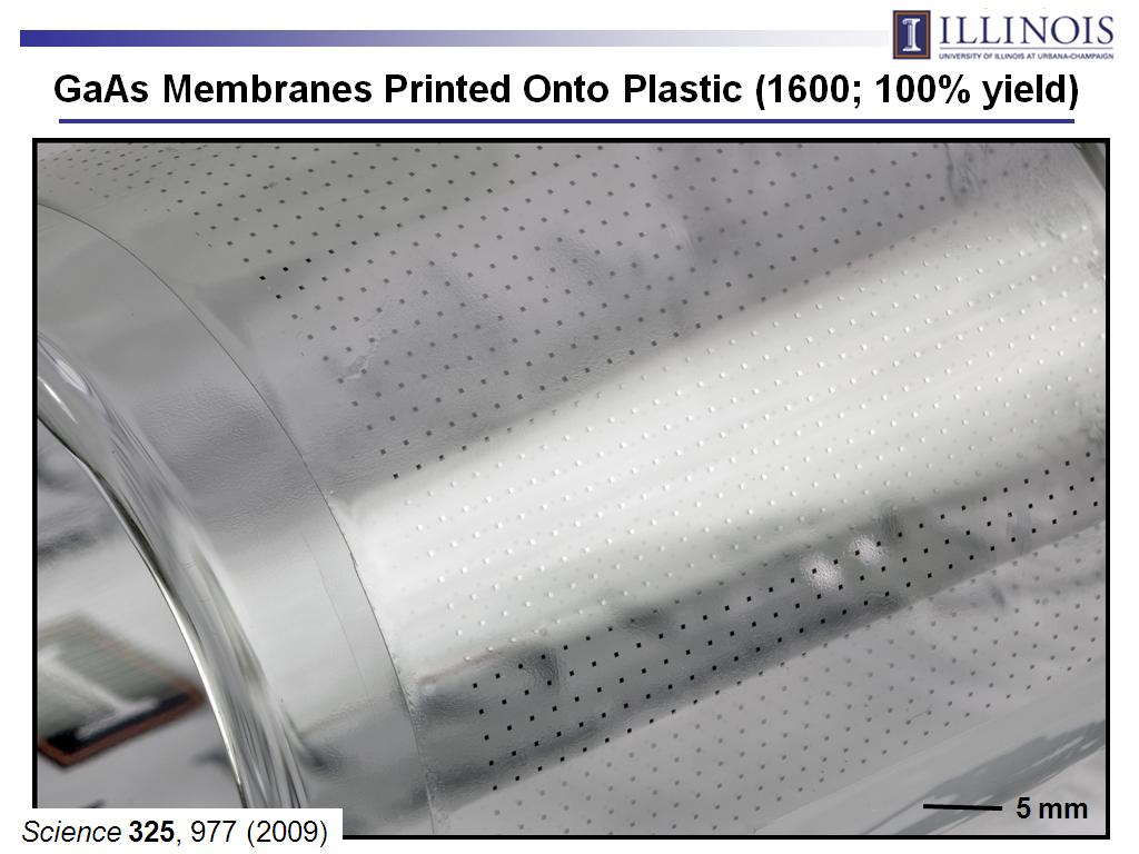 GaAs Membranes Printed Onto Plastic (1600; 100% yield)