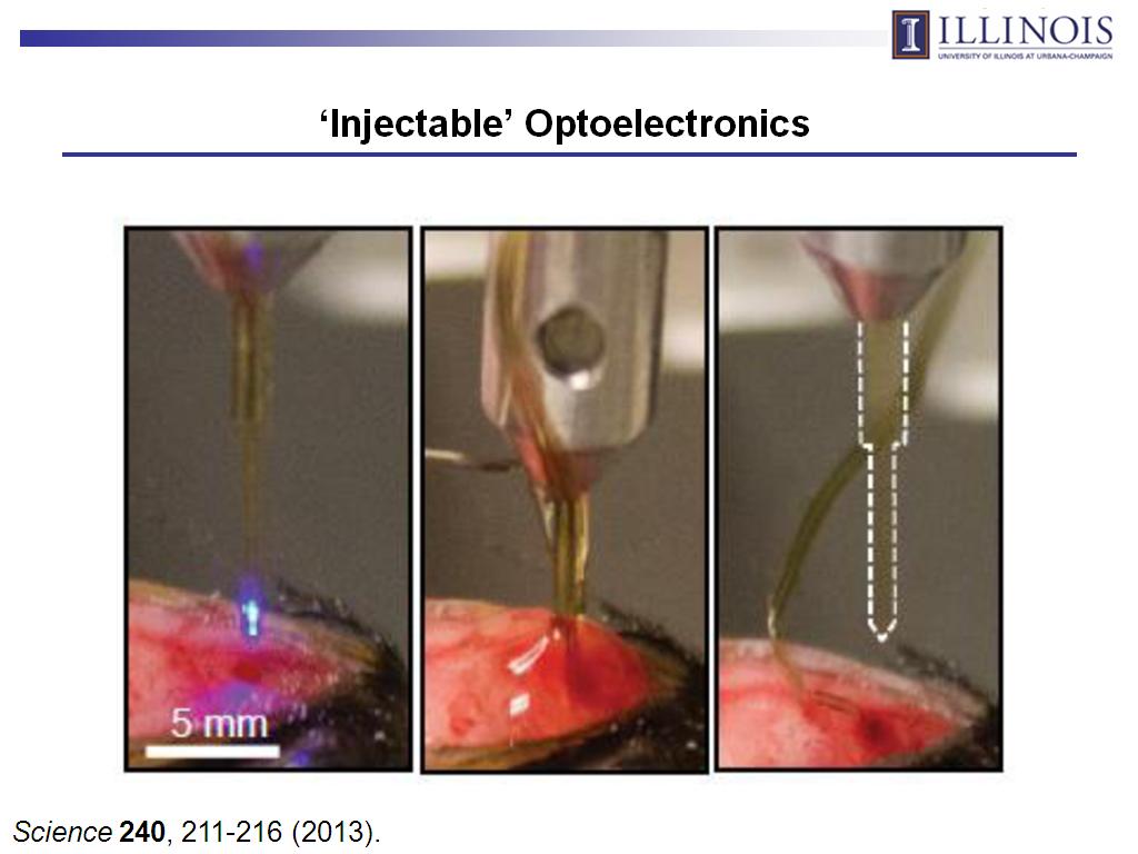 'Injectable' Optoelectronics