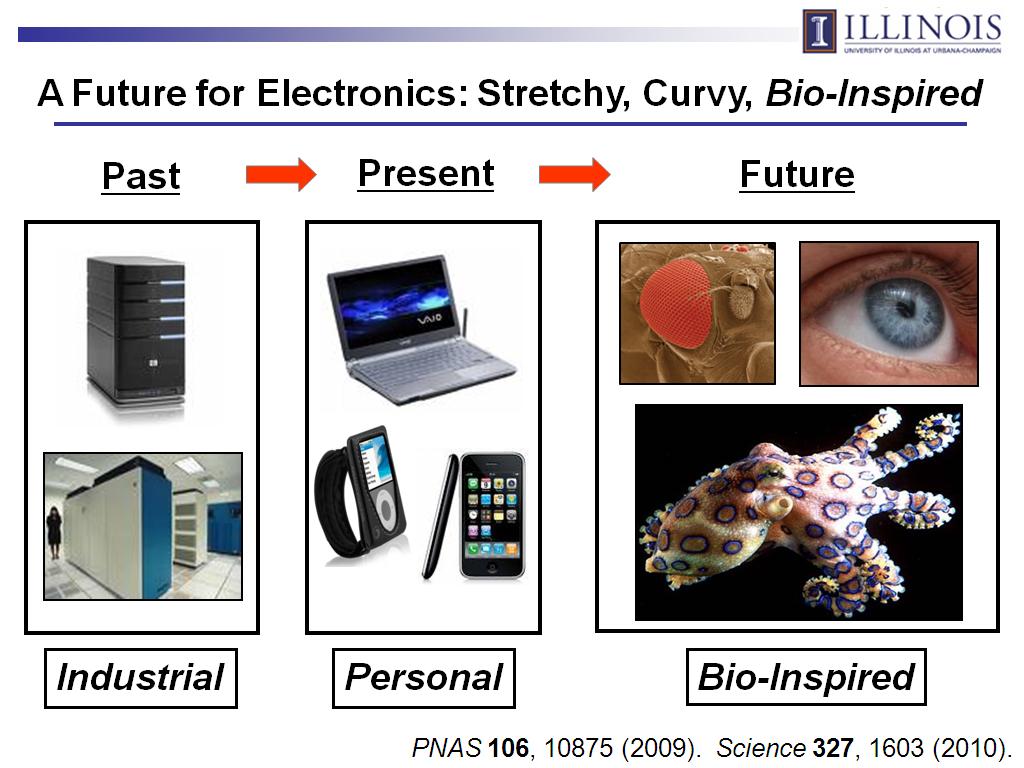 A Future for Electronics: Stretchy, Curvy, Bio-Inspired