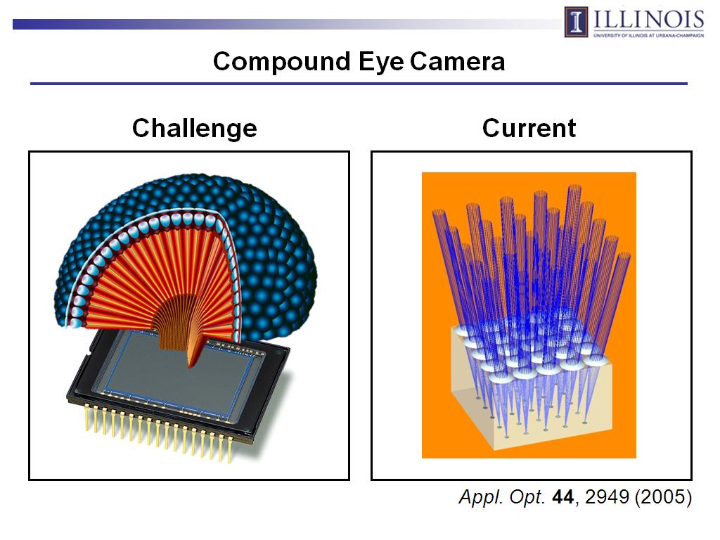 Compound Eye Camera