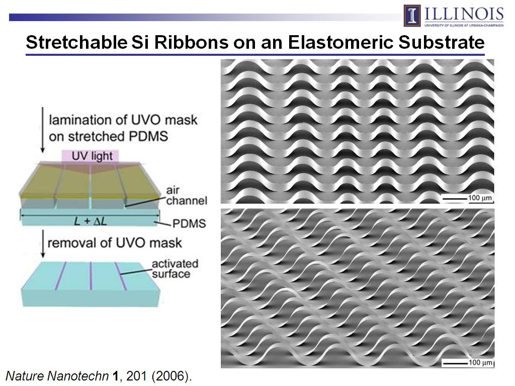Stretchable Si Ribbons on an Elastomeric Substrate