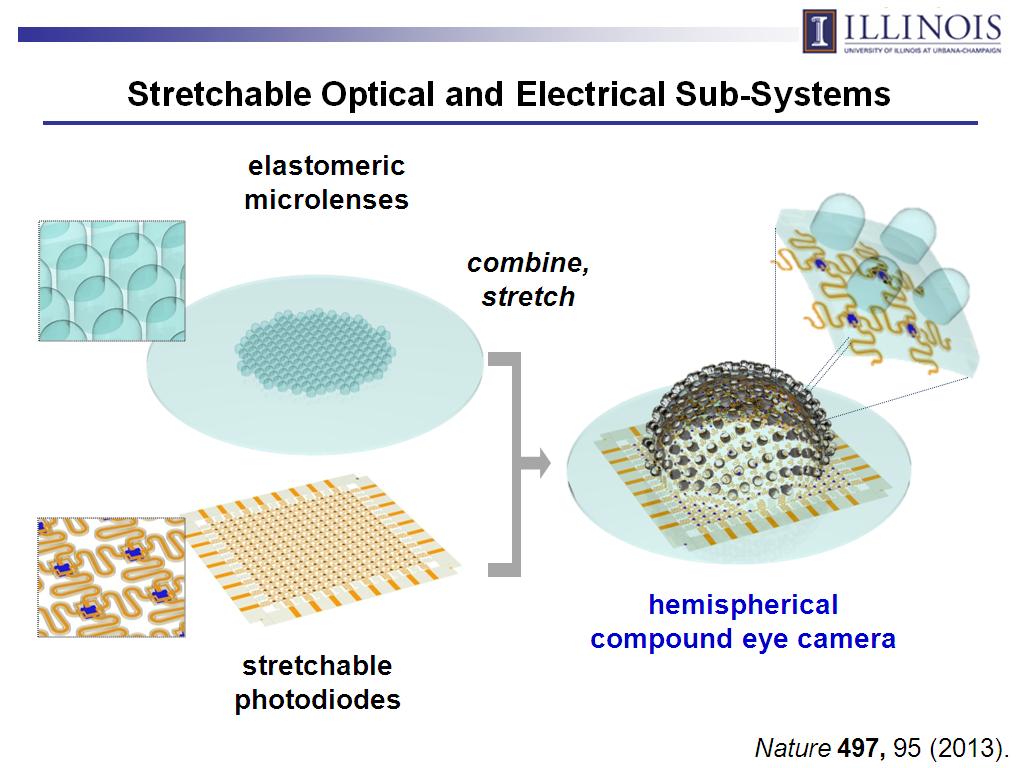 Stretchable Optical and Electrical Sub-Systems