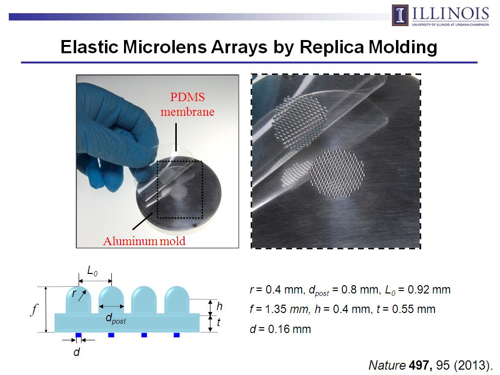Elastic Microlens Arrays by Replica Molding