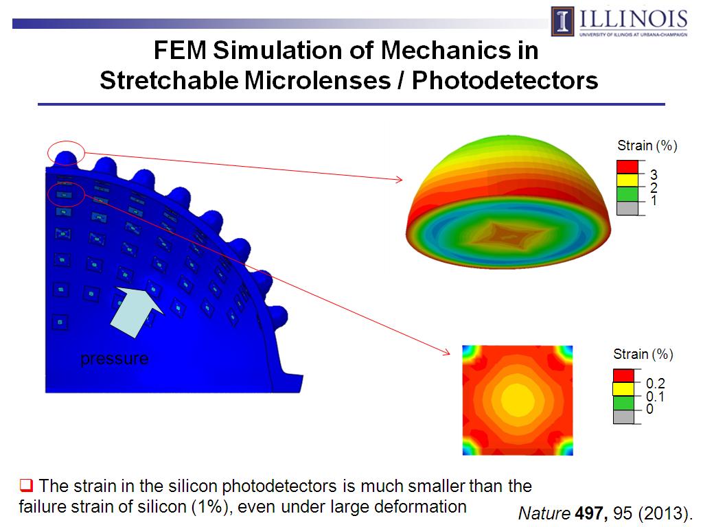 FEM Simulation of Mechanics in Stretchable Microlenses / Photodetectors