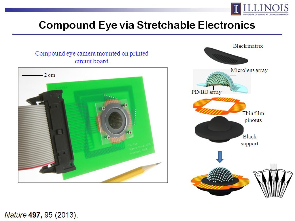 Compound Eye via Stretchable Electronics