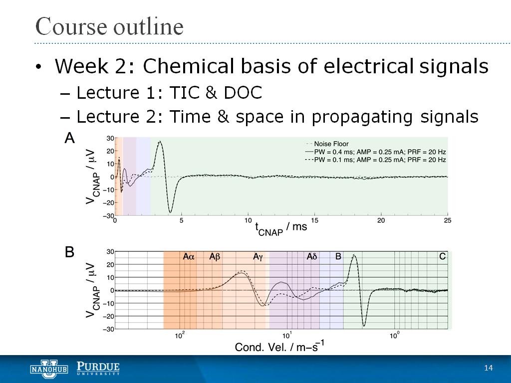 Week 2 Lecture 2: Time & space in propagating signals
