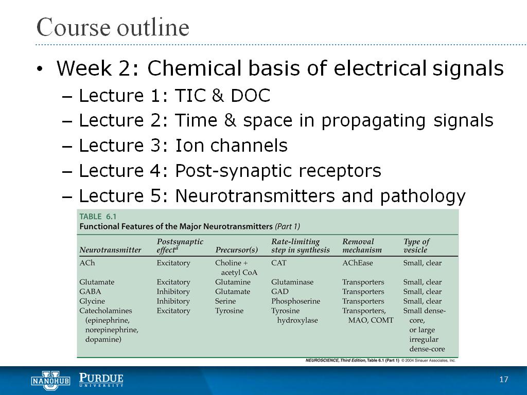 Week 2 Lecture 5: Neurotransmitters and pathology