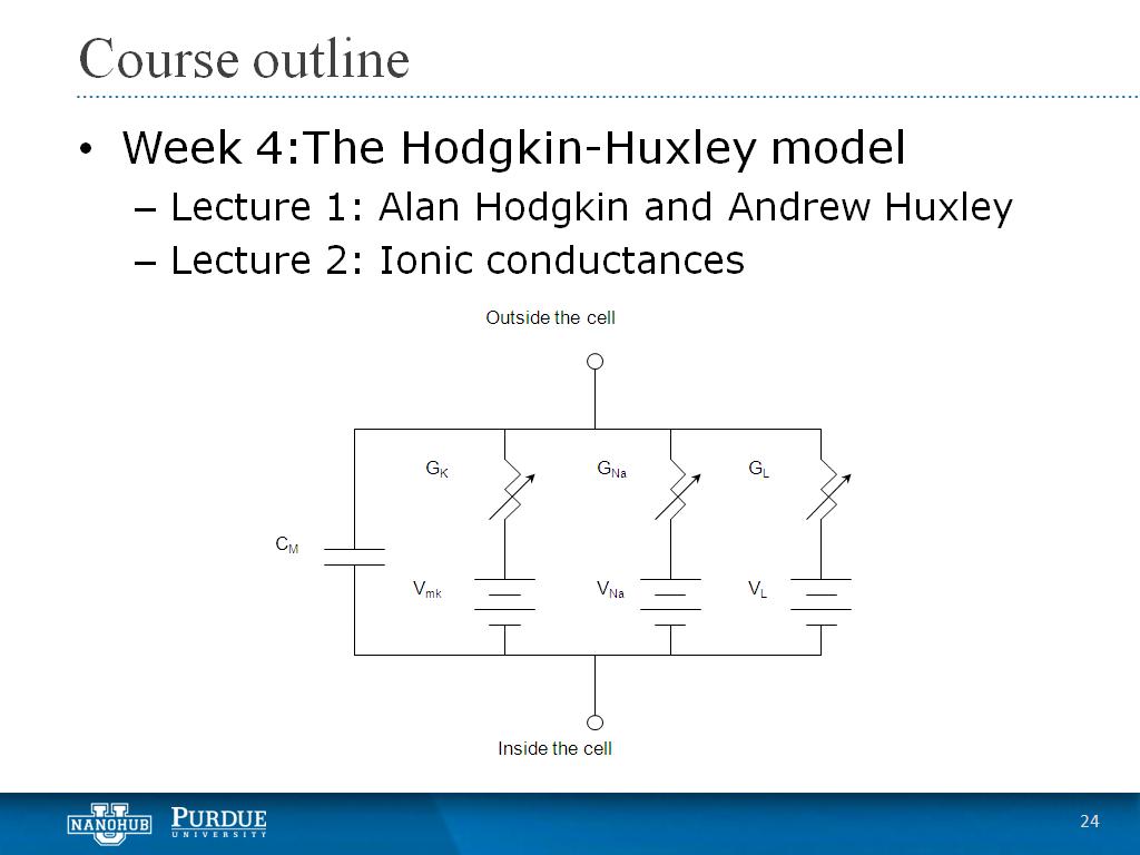 Week 4 Lecture 2: Ionic conductances