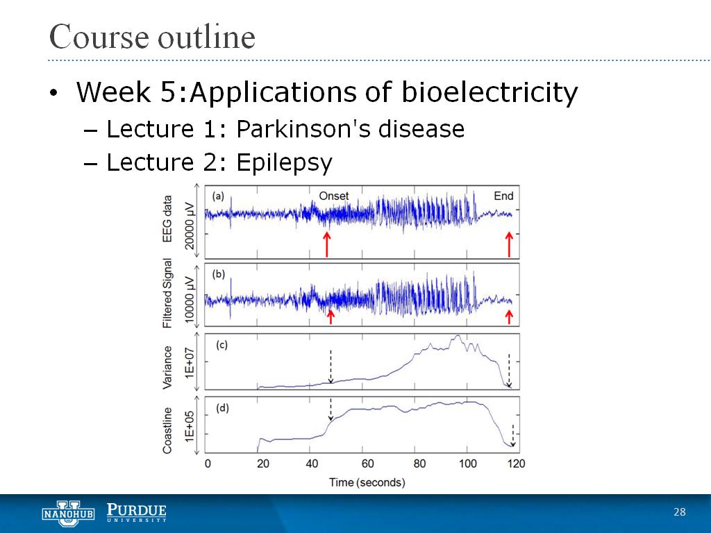 Week 5 Lecture 2: Epilepsy