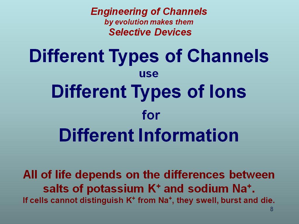 Different Types of Channels use Different Types of Ions