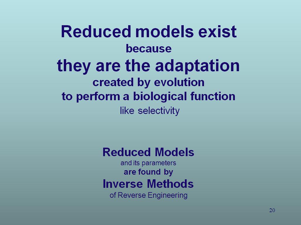 Reduced models exist