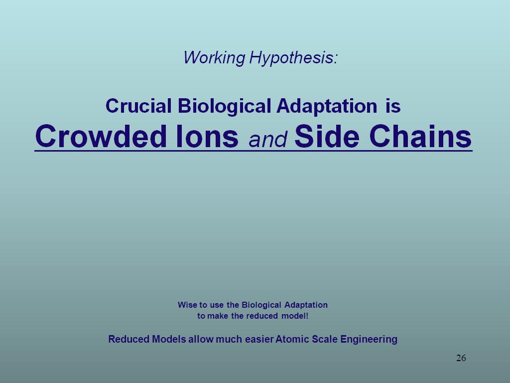 Crowded Ions and Side Chains