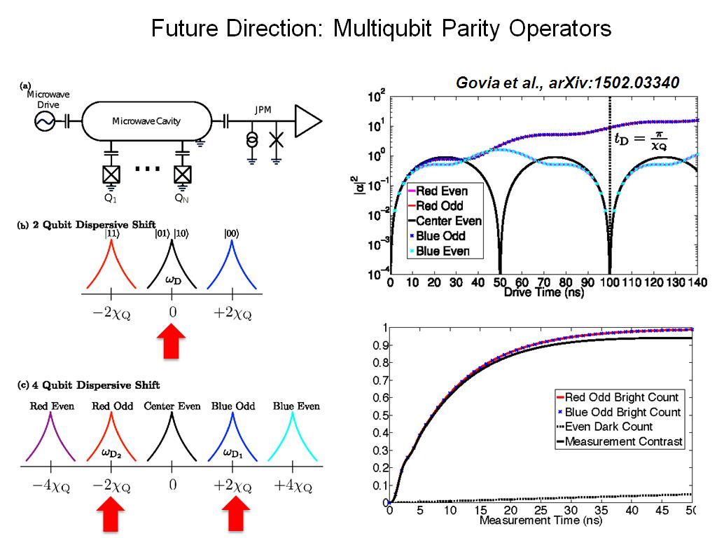Future Direction: Multiqubit Parity Operators