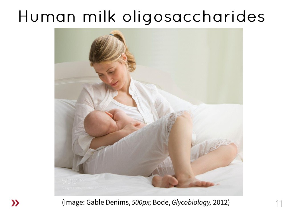Human milk oligosaccharides