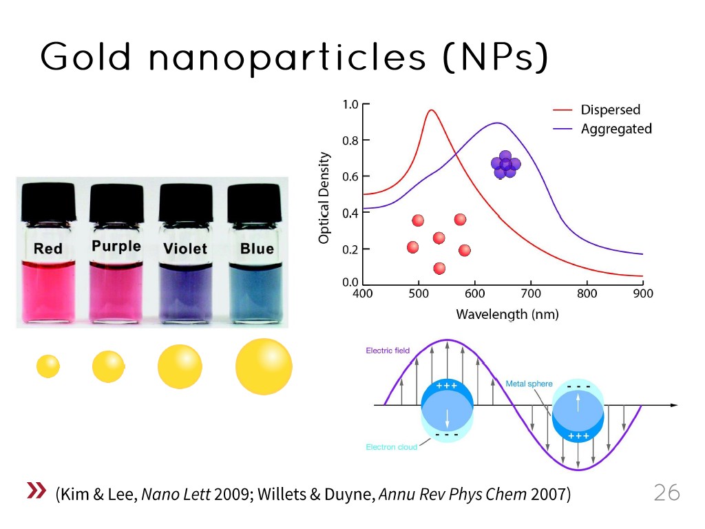 Gold nanoparticles (NPs)
