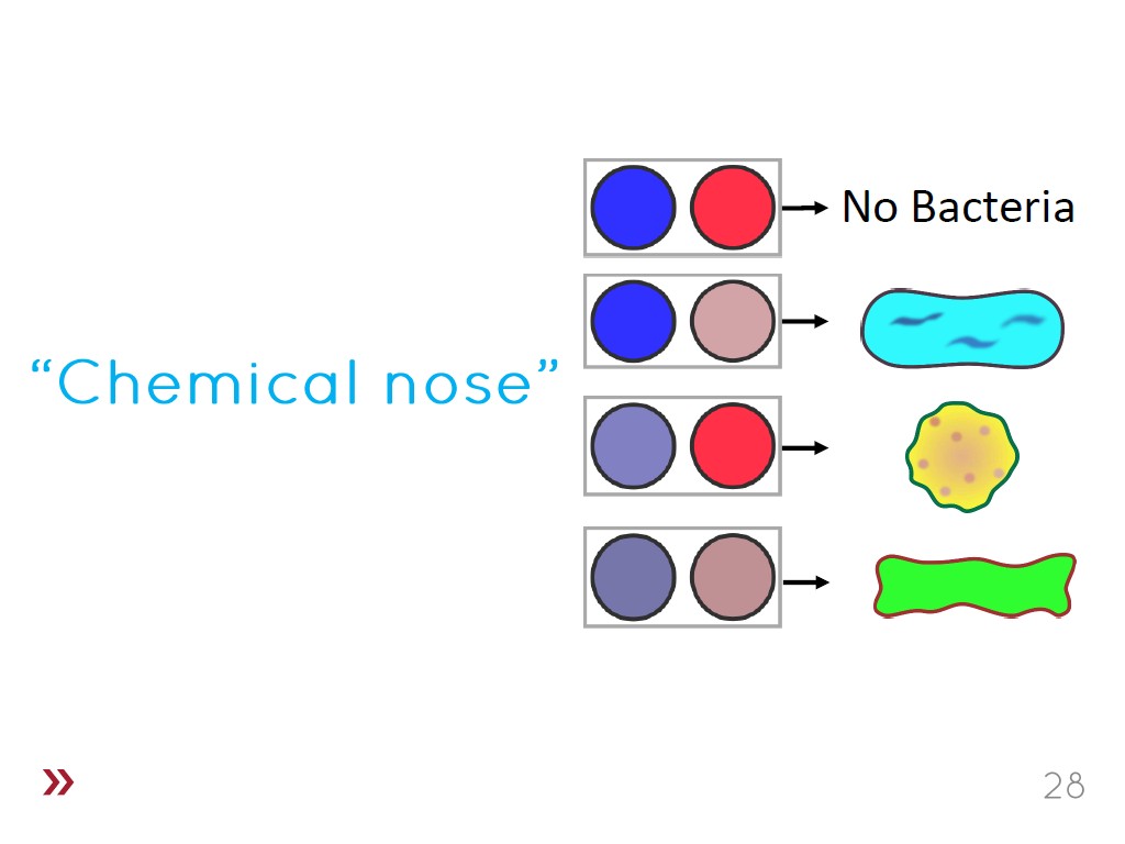 Chemical nose