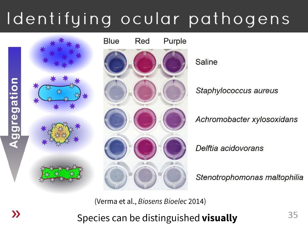 Identifying ocular pathogens