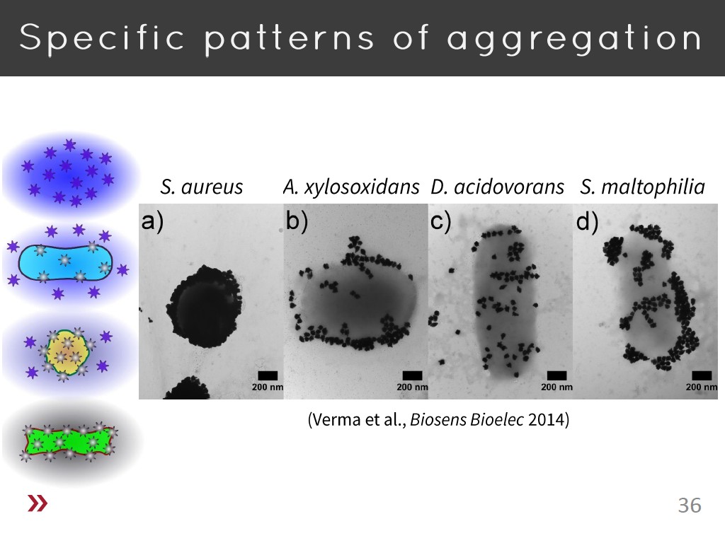 Specific patterns of aggregation