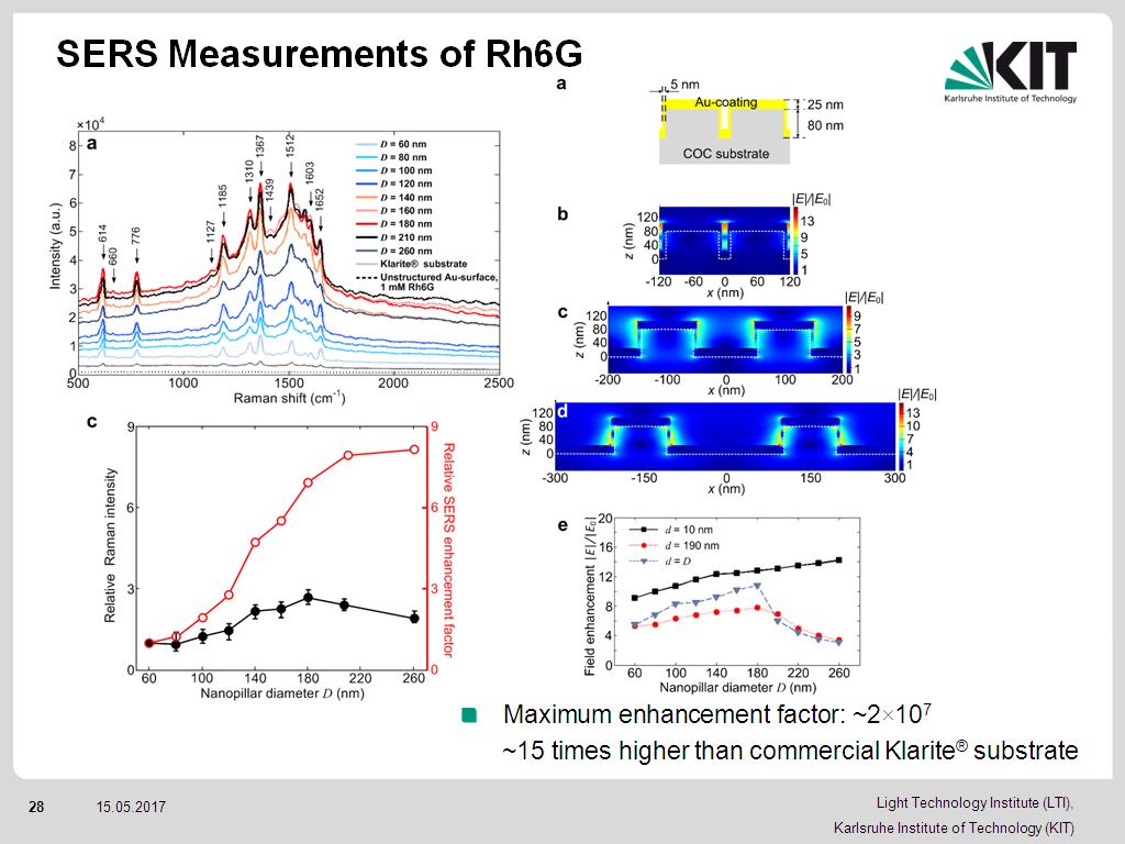 SERS Measurements of Rh6G