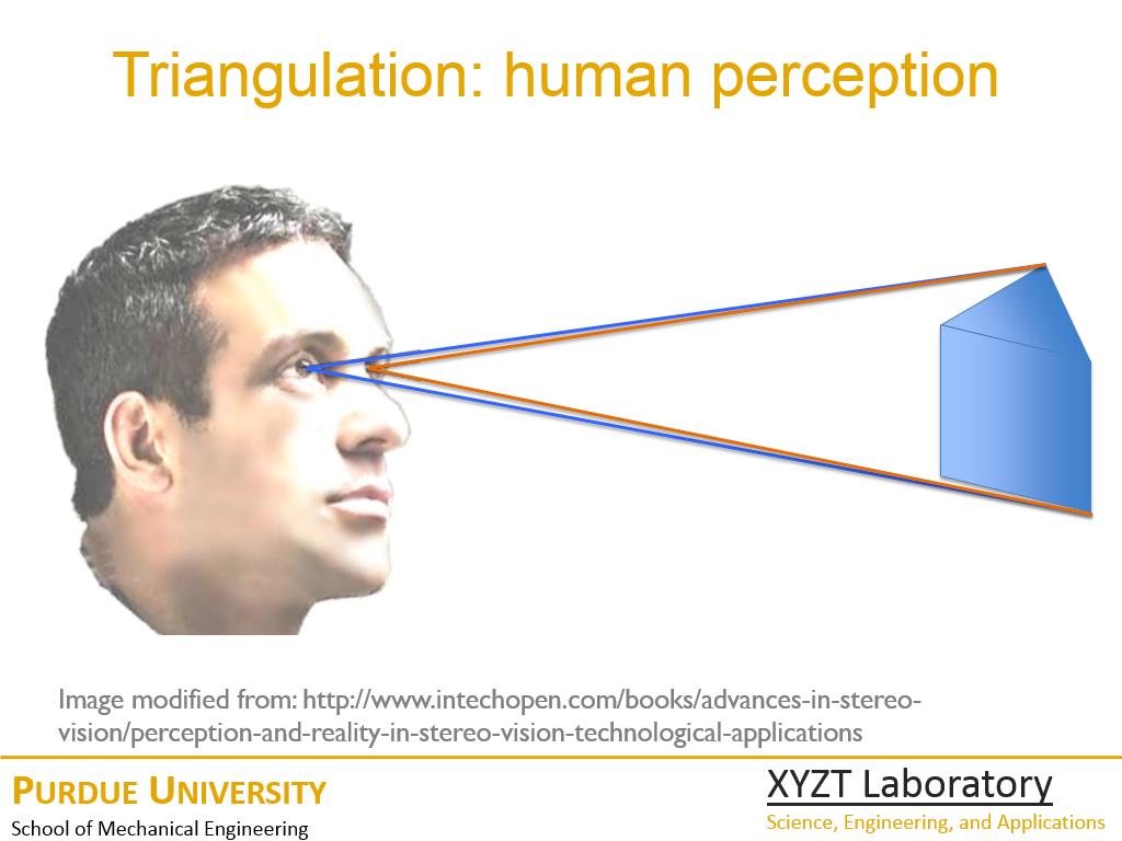 Triangulation: human perception