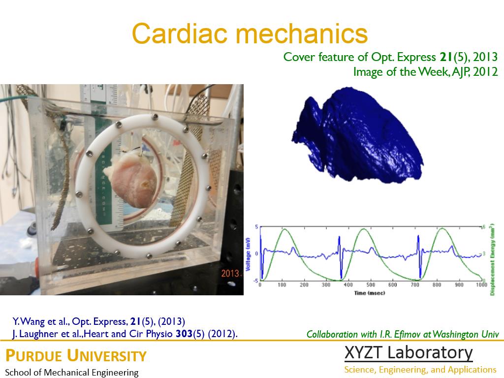 Cardiac mechanics