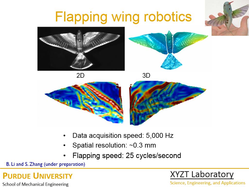 Flapping wing robotics