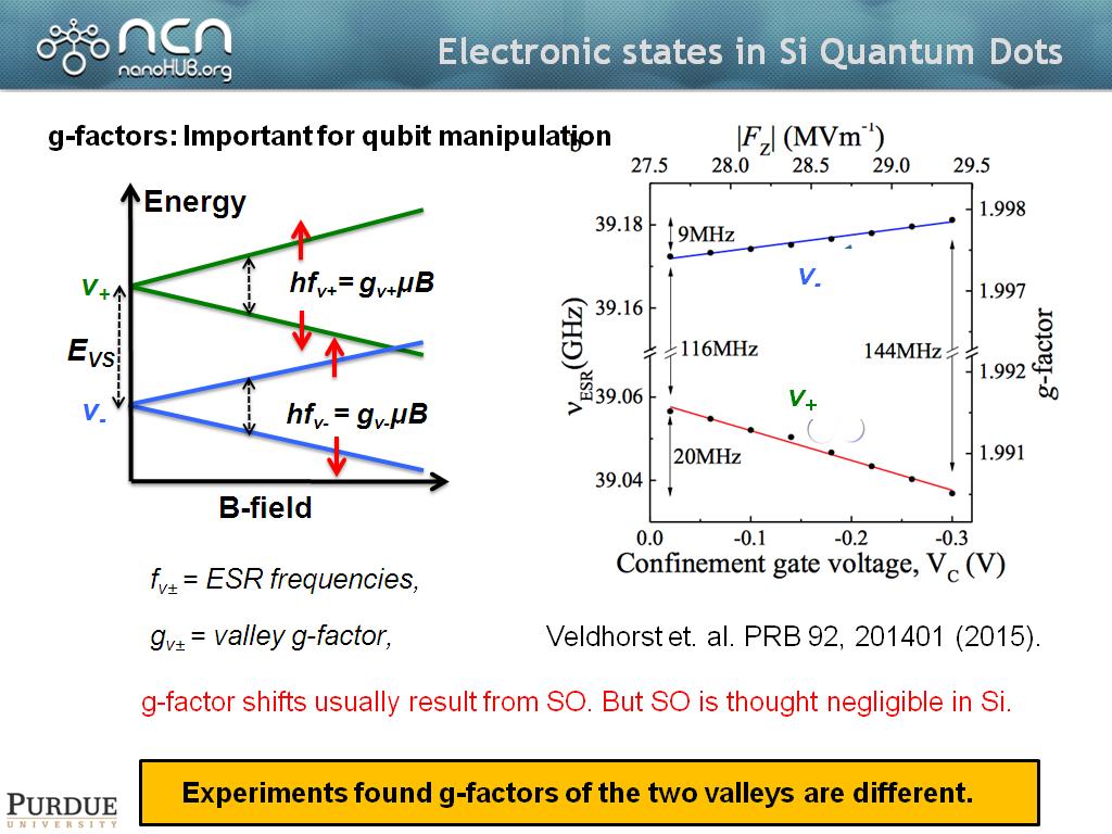 Electronic states in Si Quantum Dots