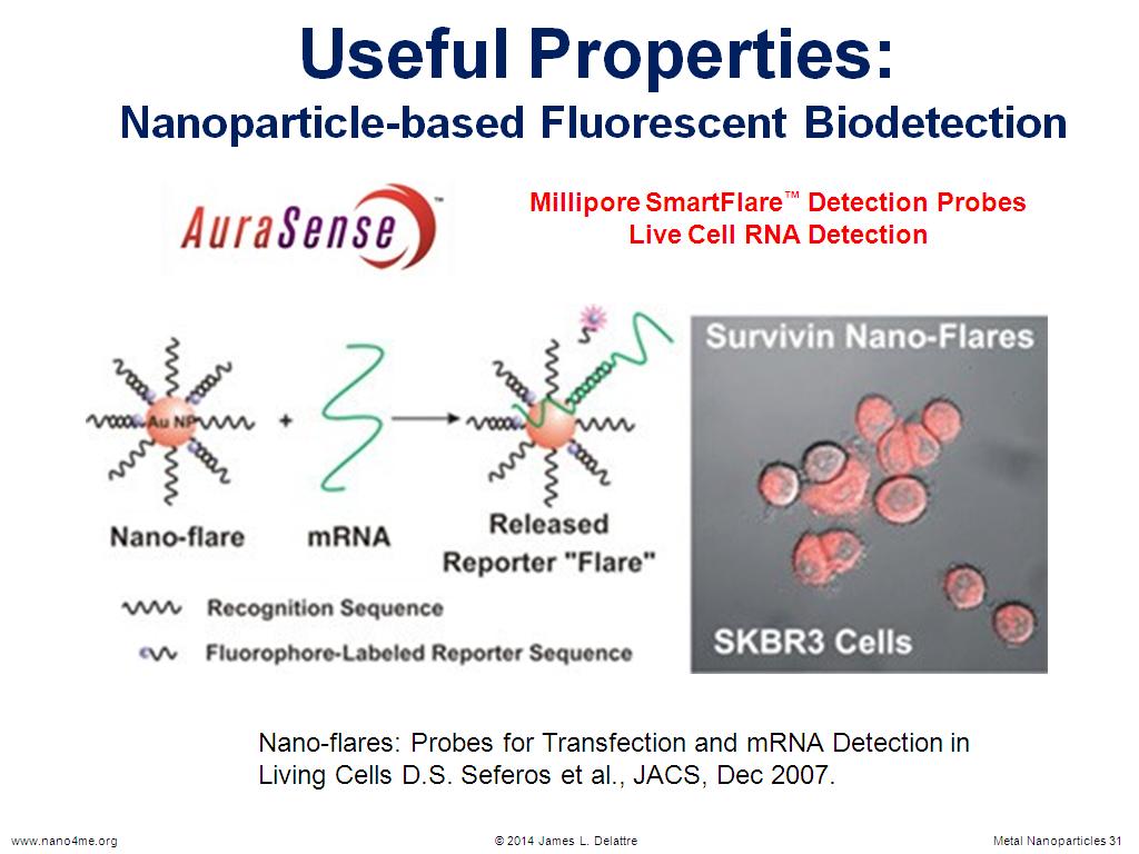 Useful Properties: Nanoparticle-based Flourescent Biodetection