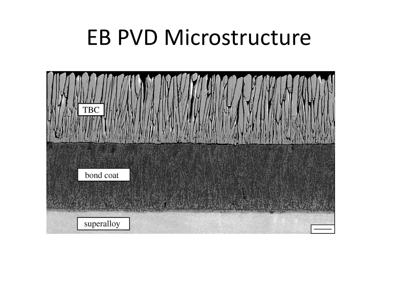 EB PVD Microstructure