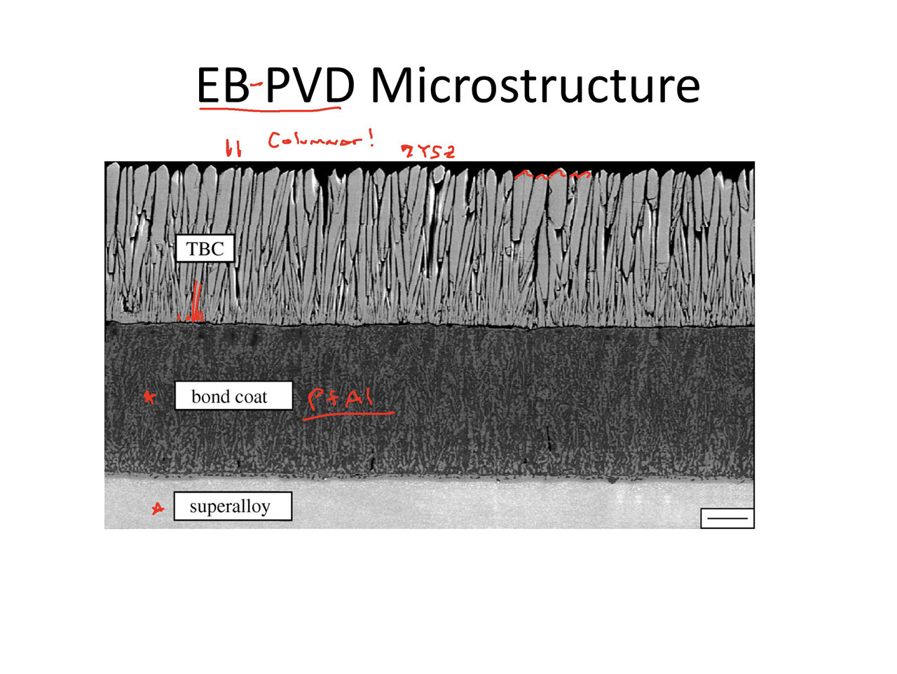 EB PVD Microstructure