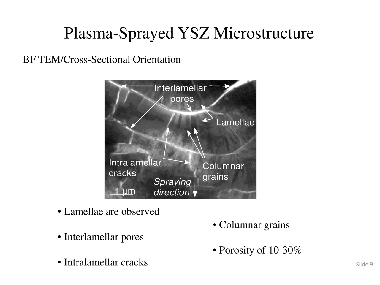 Plasma-Sprayed YSZ Microstructure
