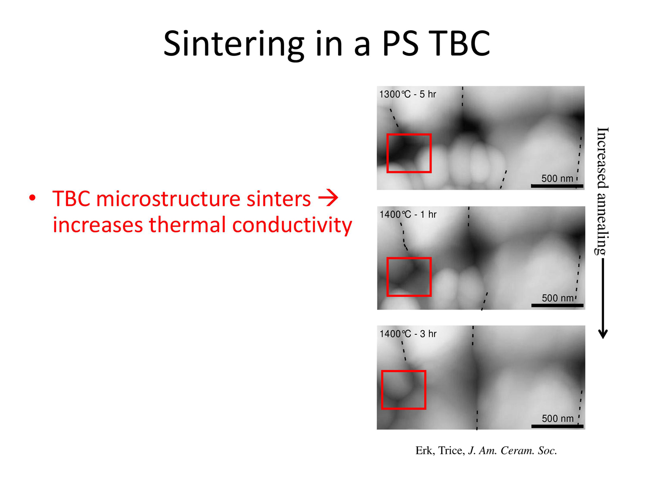 Sintering in a PS TBC