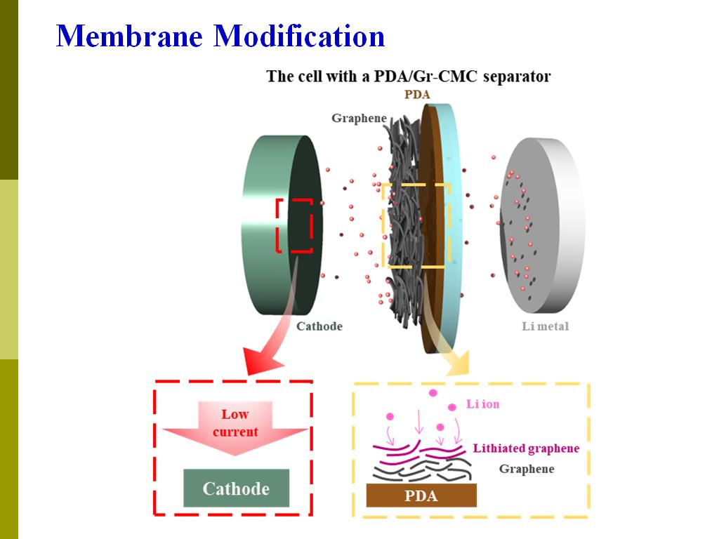 Membrane Modification