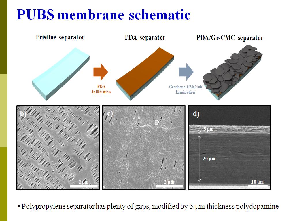 PUBS membrane schematic