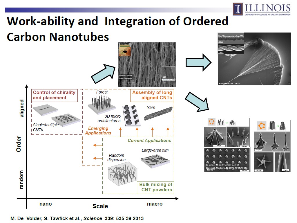 Work-ability and Integration of Ordered Carbon Nanotubes